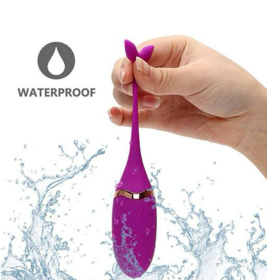 Fish Vibrator - Remote Controlled